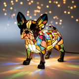 A elegância do Boston Terrier