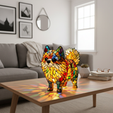 Um pomeranian cheio de energia