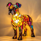 Boxer soberbo